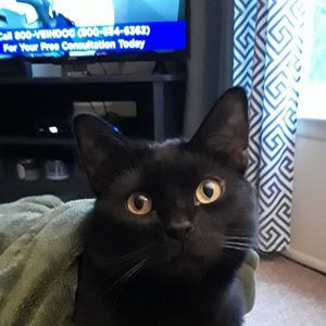 Meet your Posher, Michelle